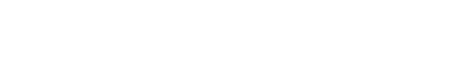 MEGAPAYZ HAVALE